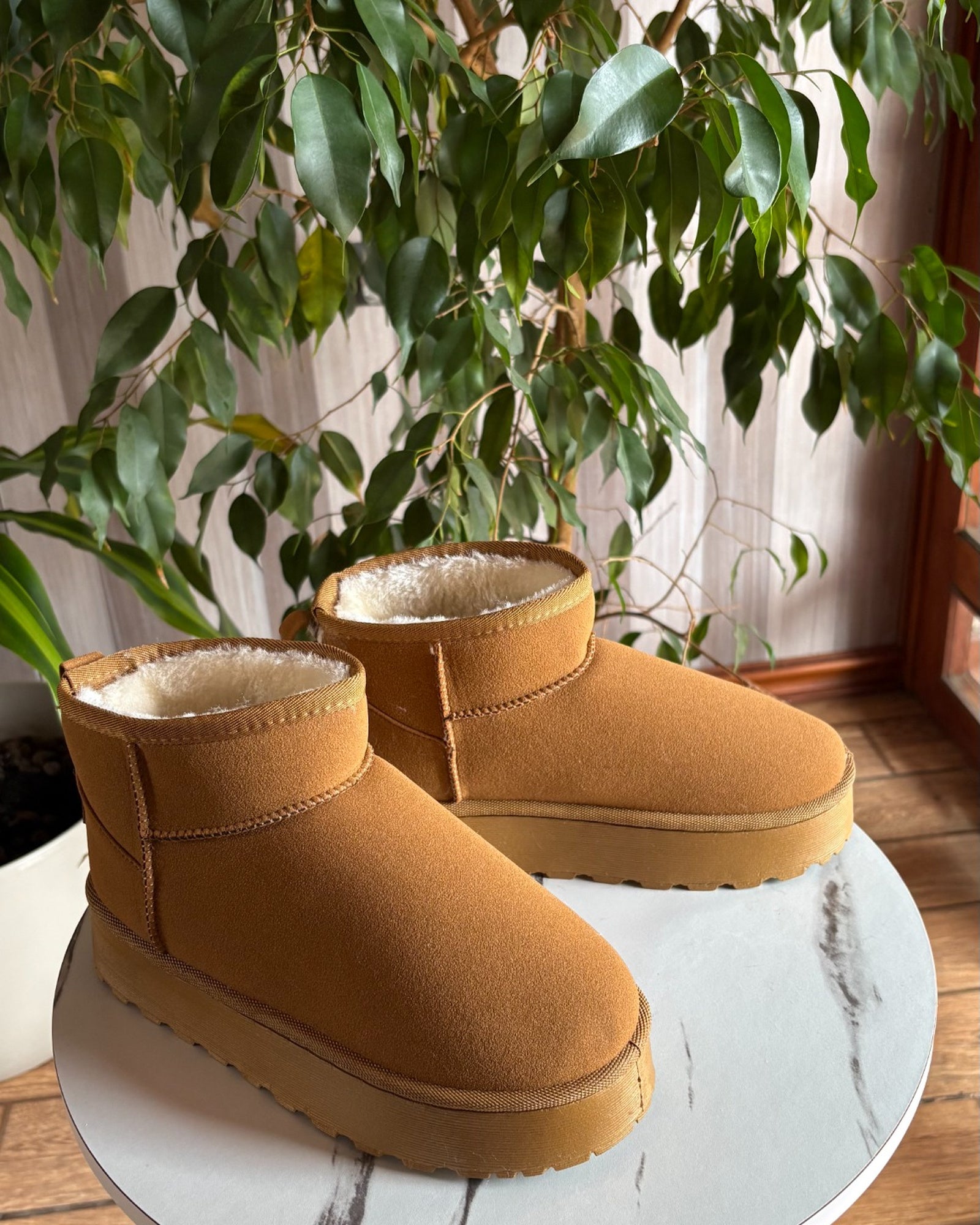 Pantubota Café