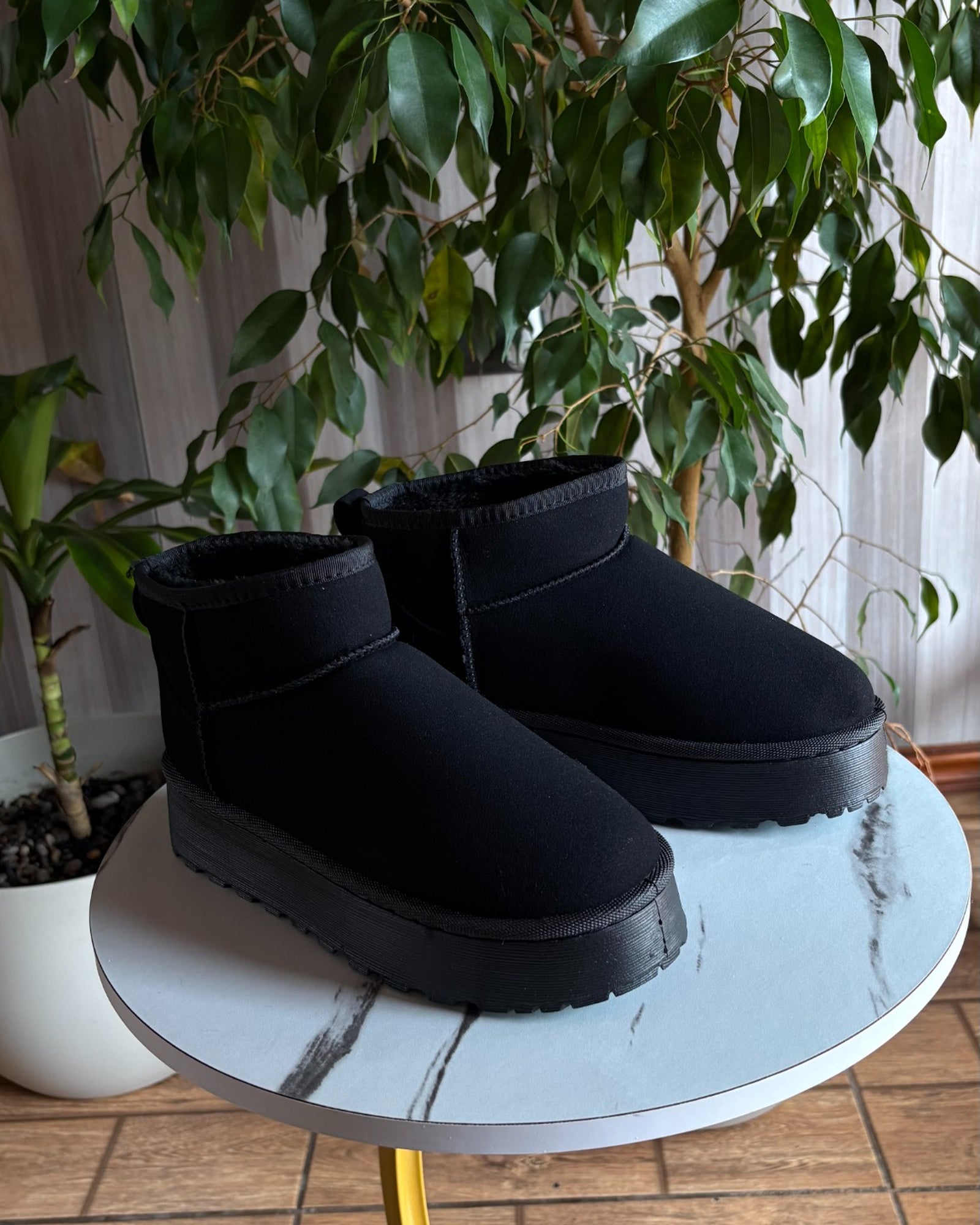 Pantubota Negra